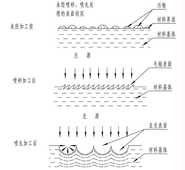 1664497743153509.jpg faacb564ce386bcff7365493.jpg